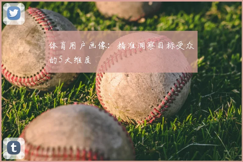 体育用户画像：精准洞察目标受众的5大维度