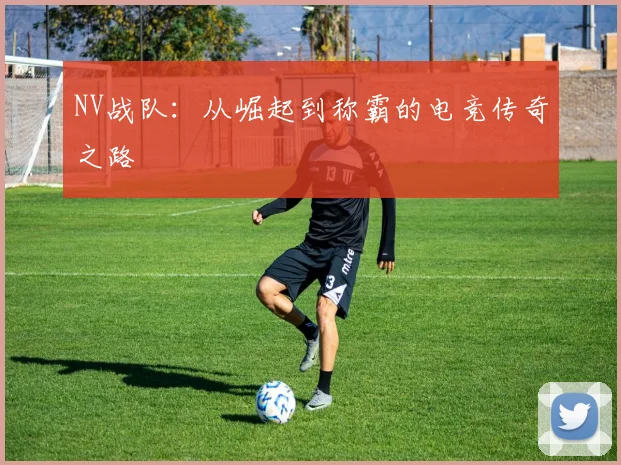 NV战队：从崛起到称霸的电竞传奇之路