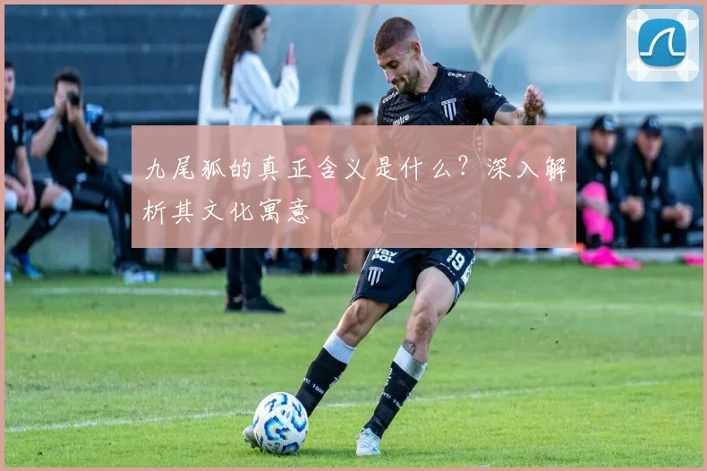 九尾狐的真正含义是什么？深入解析其文化寓意