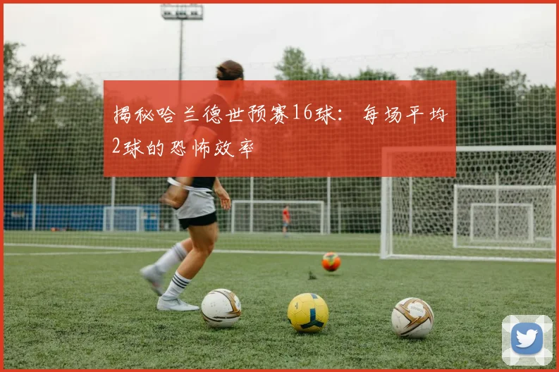 揭秘哈兰德世预赛16球：每场平均2球的恐怖效率