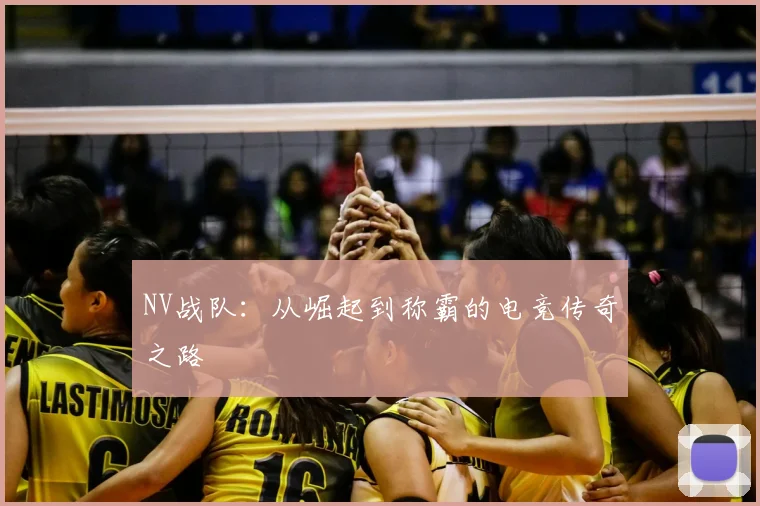 NV战队:从崛起到称霸的电竞传奇之路